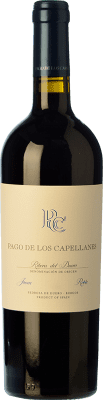 21,95 € 免费送货 | 红酒 Pago de los Capellanes 橡木 D.O. Ribera del Duero 卡斯蒂利亚莱昂 西班牙 Tempranillo 瓶子 75 cl