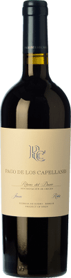 18,95 € Spedizione Gratuita | Vino rosso Pago de los Capellanes Quercia D.O. Ribera del Duero Castilla y León Spagna Tempranillo Bottiglia 75 cl