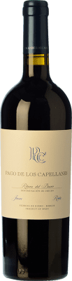 18,95 € Envío gratis | Vino Tinto Pago de los Capellanes Roble D.O. Ribera del Duero Castilla y León España Tempranillo 75 cl