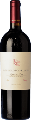 29,95 € Free Shipping | Red wine Pago de los Capellanes Aged D.O. Ribera del Duero Castilla y León Spain Tempranillo Bottle 75 cl