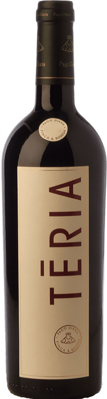 16,95 € 免费送货 | 红葡萄酒 Pago Diana Teria Crianza — 陈酿 D.O. Catalunya 加泰罗尼亚 西班牙 Tempranillo — 丹魄, Merlot — 梅洛, Cabernet Sauvignon — 赤霞珠 75 cl