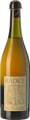 Paltrinieri Radice Lambrusco 75 cl