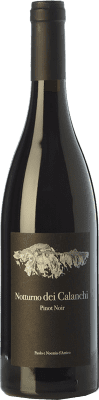 D'Amico Notturno dei Calanchi Pinot Black 75 cl