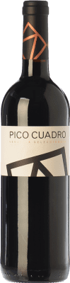 Pico Cuadro Tempranillo VS Vendimia Seleccionada — Selected Harvest Crianza — Aged 75 cl
