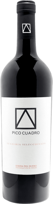 25,95 € 送料無料 | 赤ワイン Pico Cuadro VS Vendimia Seleccionada — 選別収穫 Crianza — クリアンサ D.O. Ribera del Duero カスティーリャ・イ・レオン スペイン Tempranillo — テンプラニーリョ 75 cl