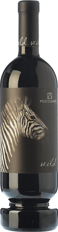24,95 € Free Shipping | Red wine Pico Cuadro Wild Aged D.O. Ribera del Duero Castilla y León Spain Tempranillo Bottle 75 cl
