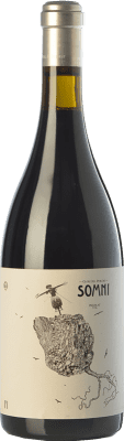 45,95 € Free Shipping | Red wine Portal del Priorat Somni Aged D.O.Ca. Priorat Catalonia Spain Syrah, Carignan Bottle 75 cl