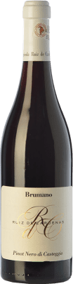 44,95 € Free Shipping | Red wine Ruiz de Cardenas Brumano D.O.C. Oltrepò Pavese Lombardia Italy Pinot Black Bottle 75 cl