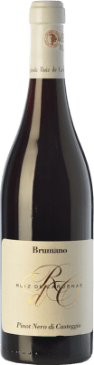 28,95 € Free Shipping | Red Wine Ruiz de Cardenas Brumano D.O.C. Oltrepò Pavese Lombardia Italy Pinot Noir 75 cl
