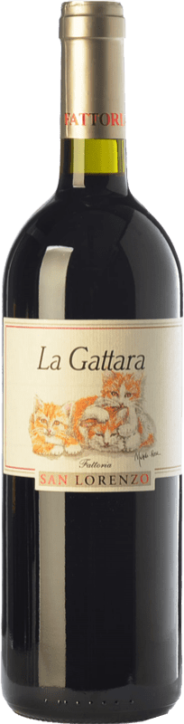19,95 € Envío gratis | Vino Tinto San Lorenzo La Gattara D.O.C. Rosso Conero Marche Italia Sangiovese, Montepulciano 75 cl