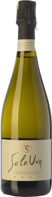 28,95 € Envio grátis | Espumante Branco SoloUva Brut — Bruto D.O.C.G. Franciacorta Lombardia Itália Chardonnay 75 cl