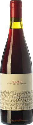 43,95 € Free Shipping | Red wine Telmo Rodríguez Pegaso Barrancos de Pizarra Aged I.G.P. Vino de la Tierra de Castilla y León Castilla y León Spain Grenache Bottle 75 cl