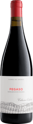 Telmo Rodríguez Pegaso Barrancos de Pizarra Garnacha — 歌海娜 Crianza — 陈酿 75 cl