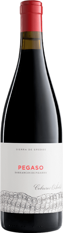 51,95 € Kostenloser Versand | Rotwein Telmo Rodríguez Pegaso Barrancos de Pizarra Alterung I.G.P. Vino de la Tierra de Castilla y León Kastilien und León Spanien Grenache Flasche 75 cl