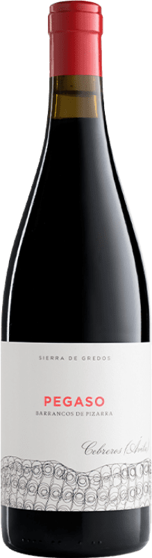 58,95 € 免费送货 | 红葡萄酒 Telmo Rodríguez Pegaso Barrancos de Pizarra Crianza — 陈酿 I.G.P. Vino de la Tierra de Castilla y León 卡斯蒂利亚莱昂 西班牙 Garnacha — 歌海娜 瓶装 75 cl