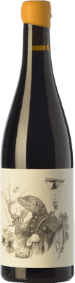 49,95 € Free Shipping | Red wine Tentenublo Escondite del Ardacho El Veriquete Joven D.O.Ca. Rioja The Rioja Spain Tempranillo, Grenache, Viura, Malvasía Bottle 75 cl