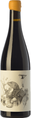 46,95 € Envoi gratuit | Vin rouge Tentenublo Escondite del Ardacho El Veriquete Jeune D.O.Ca. Rioja La Rioja Espagne Tempranillo, Grenache, Viura, Malvasía Bouteille 75 cl