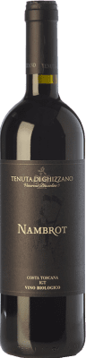 62,95 € Envio grátis | Vinho tinto Tenuta di Ghizzano Nambrot I.G.T. Toscana Tuscany Itália Merlot, Cabernet Sauvignon, Petit Verdot Garrafa 75 cl