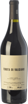 108,95 € Kostenloser Versand | Rotwein Tenuta di Valgiano D.O.C. Colline Lucchesi Toskana Italien Merlot, Syrah, Sangiovese Flasche 75 cl