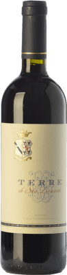 17,95 € Бесплатная доставка | Красное вино Tenuta San Leonardo Terre I.G.T. Vigneti delle Dolomiti Трентино Италия Merlot, Cabernet Sauvignon, Cabernet Franc, Carmenère бутылка 75 cl