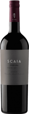 15,95 € 送料無料 | 赤ワイン Tenuta Sant'Antonio Scaia I.G.T. Veneto ベネト イタリア Corvina — コルヴィーナ 75 cl