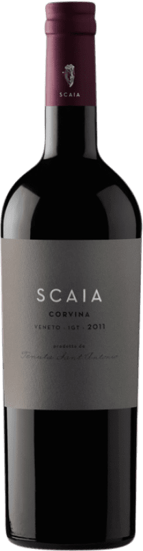 15,95 € Spedizione Gratuita | Vino rosso Tenuta Sant'Antonio Scaia I.G.T. Veneto Veneto Italia Corvina Bottiglia 75 cl