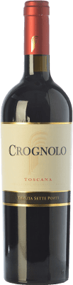 29,95 € Kostenloser Versand | Rotwein Tenuta Sette Ponti Crognolo I.G.T. Toscana Toskana Italien Sangiovese Flasche 75 cl