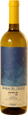 19,95 € Kostenloser Versand | Weißwein Bibi Graetz Cicala del Giglio I.G.T. Toscana Toskana Italien Ansonica Flasche 75 cl