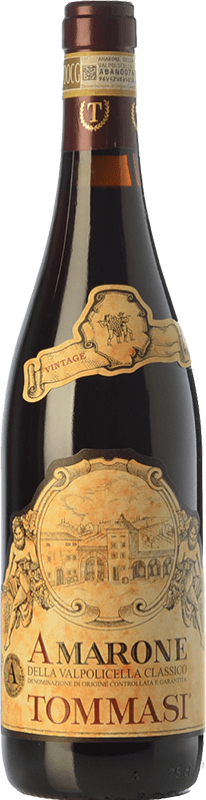 34,95 € Free Shipping | Red wine Tommasi Classico D.O.C.G. Amarone della Valpolicella Veneto Italy Corvina, Rondinella, Corvinone, Oseleta Bottle 75 cl