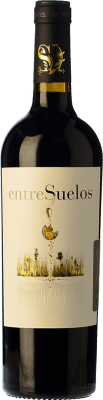 7,95 € Free Shipping | Red wine Tritón Entresuelos Joven I.G.P. Vino de la Tierra de Castilla y León Castilla y León Spain Tempranillo Bottle 75 cl