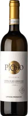 24,95 € Free Shipping | White wine Umani Ronchi Plenio Reserve D.O.C.G. Castelli di Jesi Verdicchio Riserva Marche Italy Verdicchio Bottle 75 cl