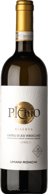 24,95 € Spedizione Gratuita | Vino bianco Umani Ronchi Plenio Riserva D.O.C.G. Castelli di Jesi Verdicchio Riserva Marche Italia Verdicchio Bottiglia 75 cl