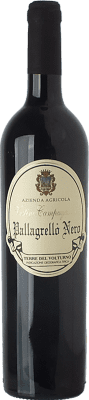 24,95 € 免费送货 | 红酒 Vestini Campagnano I.G.T. Terre del Volturno 坎帕尼亚 意大利 Pallagrello 瓶子 75 cl