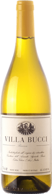 79,95 € 送料無料 | 白ワイン Villa Bucci クラシック レセルバ D.O.C.G. Castelli di Jesi Verdicchio Riserva マルケ イタリア Verdicchio — ヴェルディッキオ Eco — エコ ビオ オーガニック 75 cl