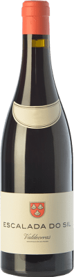 36,95 € Free Shipping | Red wine Vinos del Atlántico Escalada do Sil Crianza D.O. Valdeorras Galicia Spain Mencía, Grenache Tintorera, Merenzao Bottle 75 cl