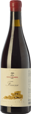 22,95 € Envoi gratuit | Vin rouge Vinyes d'en Gabriel Finesse Jeune D.O. Montsant Catalogne Espagne Grenache Bouteille 75 cl