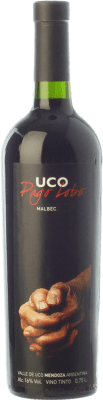 39,95 € Free Shipping | Red wine Valle de Uco Pago Lobo Aged I.G. Valle de Uco Uco Valley Argentina Malbec Bottle 75 cl