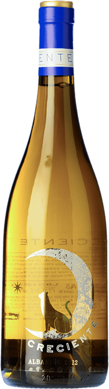 18,95 € Бесплатная доставка | Белое вино Vinyes Singulars Luna Creciente D.O. Rías Baixas Галисия Испания Albariño — Альбариньо Бутылка 75 cl