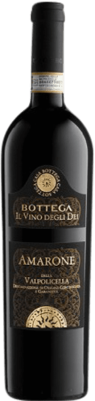 43,95 € Envio grátis | Vinho Tinto Bottega Il Vino Degli D.O.C.G. Amarone della Valpolicella Itália 75 cl