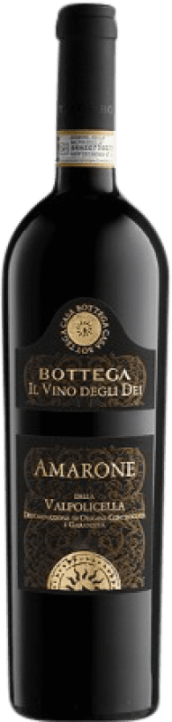 43,95 € Envio grátis | Vinho tinto Bottega Il Vino Degli D.O.C.G. Amarone della Valpolicella Itália Garrafa 75 cl