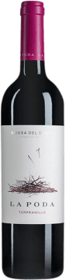 9,95 € Free Shipping | Red wine Palacio La Poda D.O. Ribera del Duero Castilla y León Spain Tempranillo Bottle 75 cl