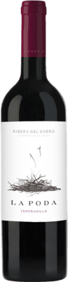 18,95 € 免费送货 | 红酒 Viña Mayor La Poda D.O. Ribera del Duero 卡斯蒂利亚莱昂 西班牙 Tempranillo 瓶子 Magnum 1,5 L