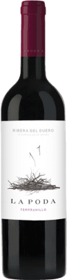 19,95 € Free Shipping | Red wine Palacio La Poda D.O. Ribera del Duero Castilla y León Spain Tempranillo Magnum Bottle 1,5 L