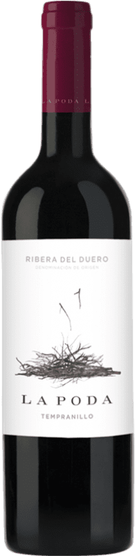 19,95 € Free Shipping | Red wine Palacio La Poda D.O. Ribera del Duero Castilla y León Spain Tempranillo Magnum Bottle 1,5 L