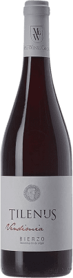 12,95 € Free Shipping | Red wine Estefanía Tilenus Vendimia D.O. Bierzo Castilla y León Spain Mencía Bottle 75 cl
