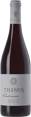 12,95 € Spedizione Gratuita | Vino Rosso Estefanía Tilenus Vendimia D.O. Bierzo Castilla y León Spagna Mencía 75 cl