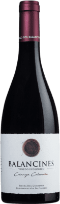 11,95 € 免费送货 | 红酒 Pago Los Balancines Viñedo Ecológico Colección Tinto 岁 D.O. Ribera del Guadiana 西班牙 Tempranillo, Syrah 瓶子 75 cl