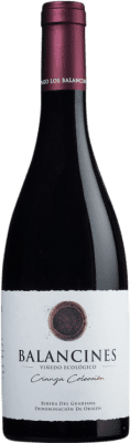 11,95 € Free Shipping | Red wine Pago Los Balancines Viñedo Ecológico Colección Tinto Aged D.O. Ribera del Guadiana Spain Tempranillo, Syrah Bottle 75 cl
