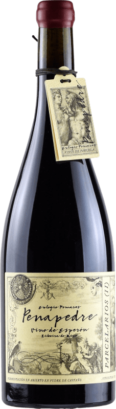 25,95 € Free Shipping | Red wine Zárate Penapedre D.O. Ribeira Sacra Galicia Spain Mencía, Grenache Tintorera Bottle 75 cl