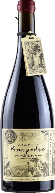 27,95 € Envío gratis | Vino Tinto Zárate Penapedre D.O. Ribeira Sacra Galicia España Garnacha, Mencía Botella 75 cl